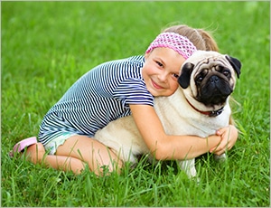 chó pug dễ gần tình cảm