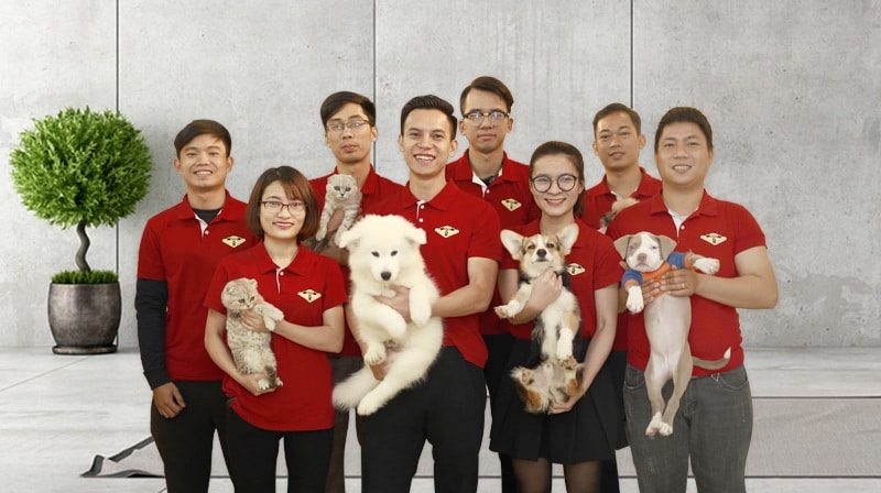 trại chó mèo cảnh AZPET