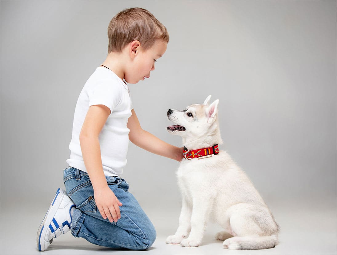 Lý do chọn mua Husky