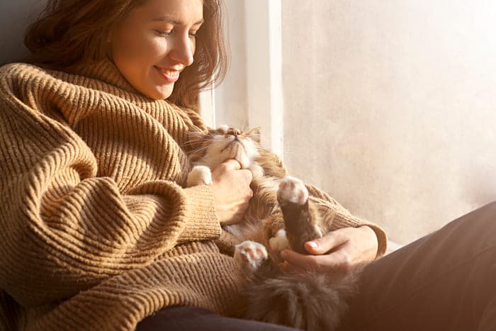 Bật Mí 15 Lý Do Khiến Bạn Nhất Định Phải Sở Hữu Một Bé Mèo