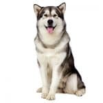 Alaska