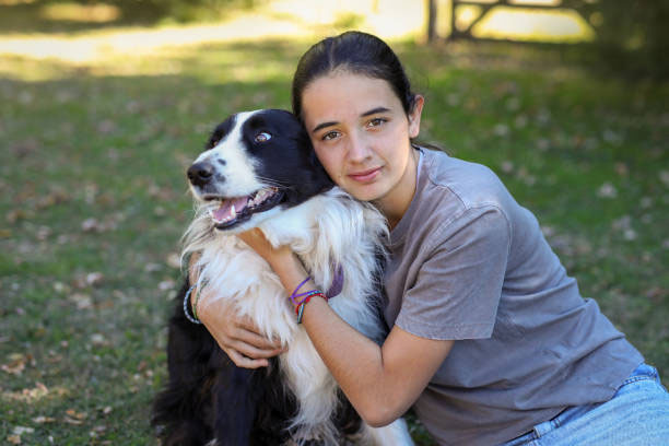 cach nhan biet cho border collie thuan chung qua cac dac diem di truyen 1