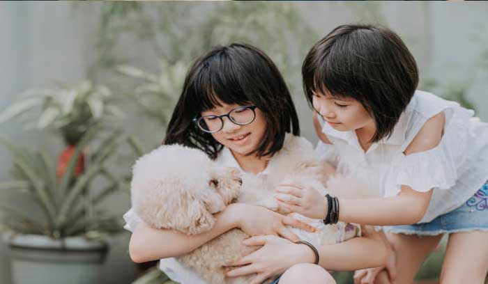 tut tat cho poodle bi kip cham soc long muot nhu nhung 1