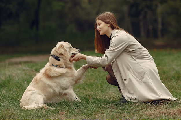 bien hoa labrador thanh cuc bong ngoan ngoan chi voi 5 buoc don gian 3